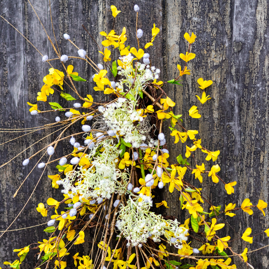 Forsythia Down Drop