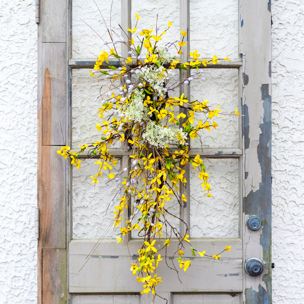 Forsythia Down Drop