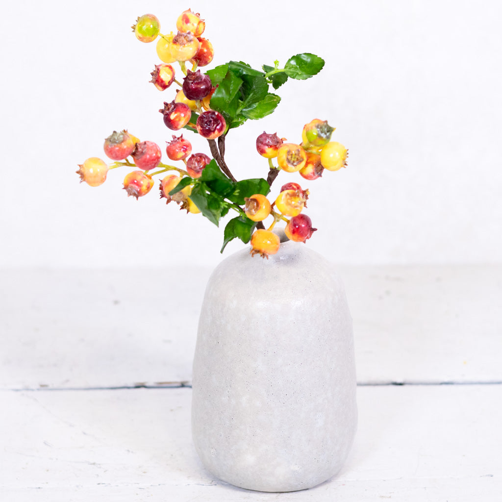 Pink Green Rosehip Berry Cluster