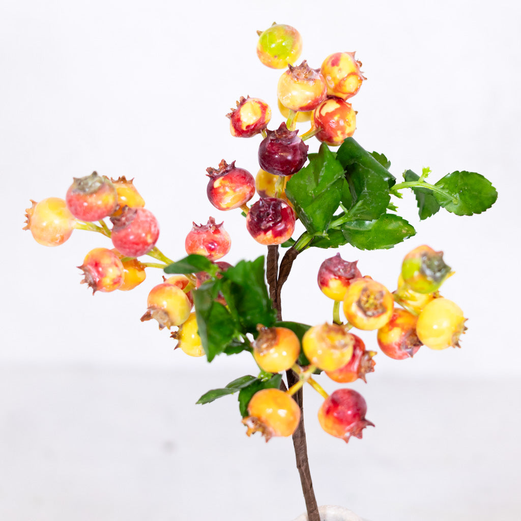 Pink Green Rosehip Berry Cluster