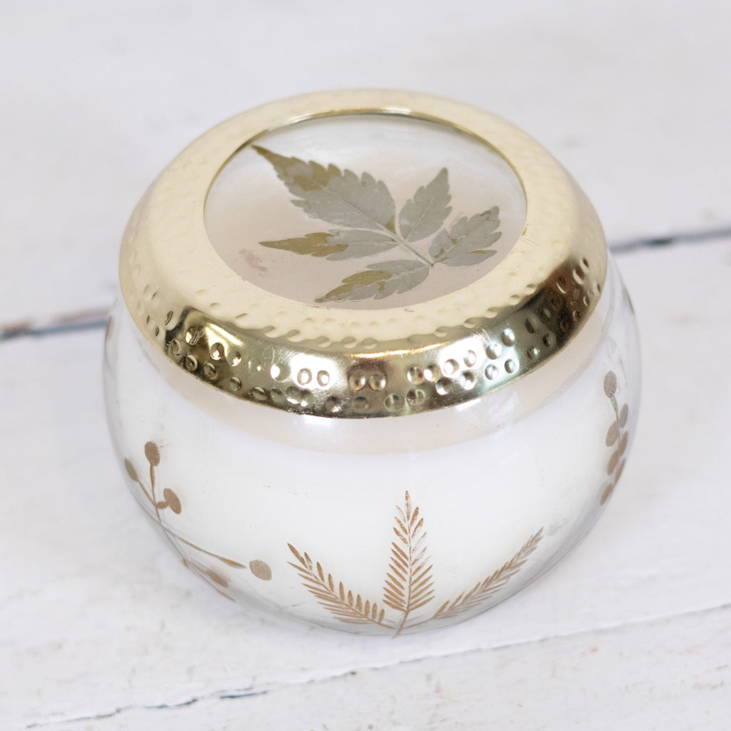 Frosted Juniper Candle in Glass with Lid