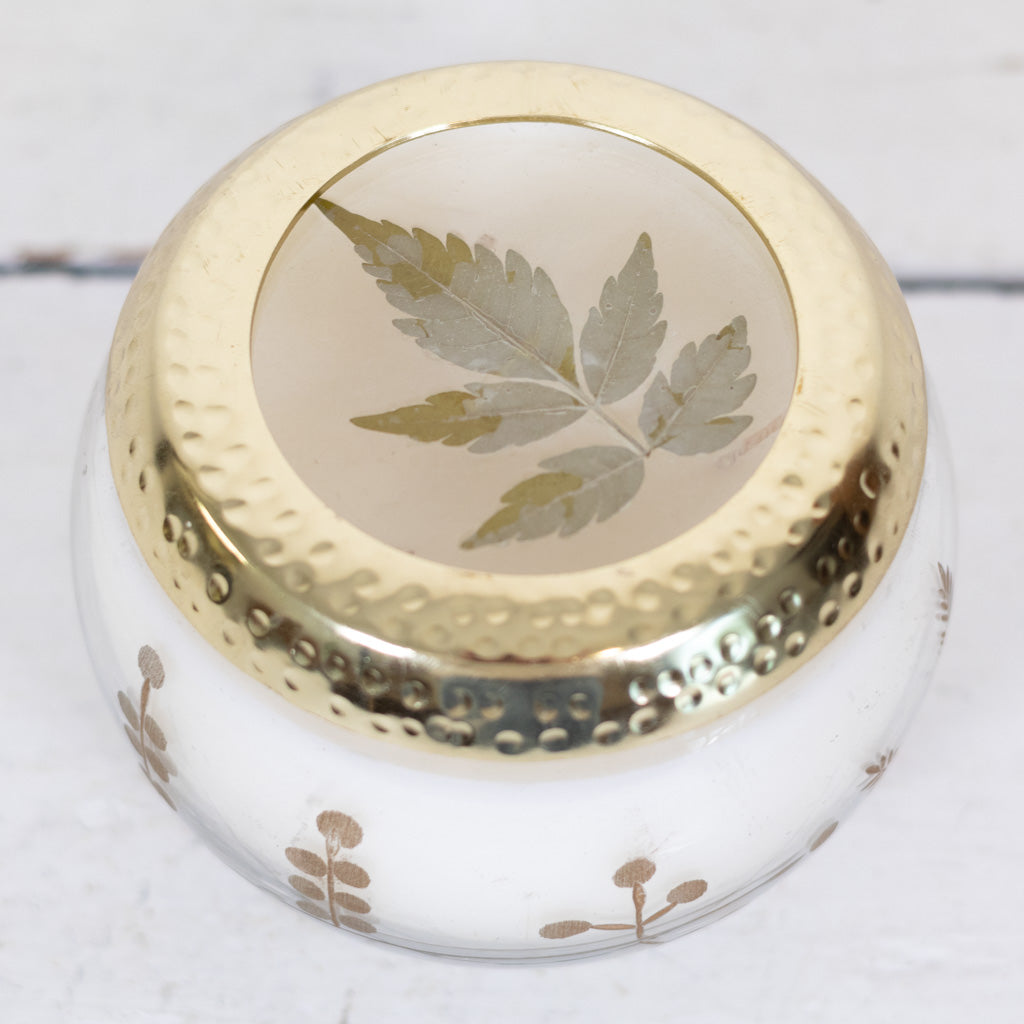 Frosted Juniper Candle in Glass with Lid