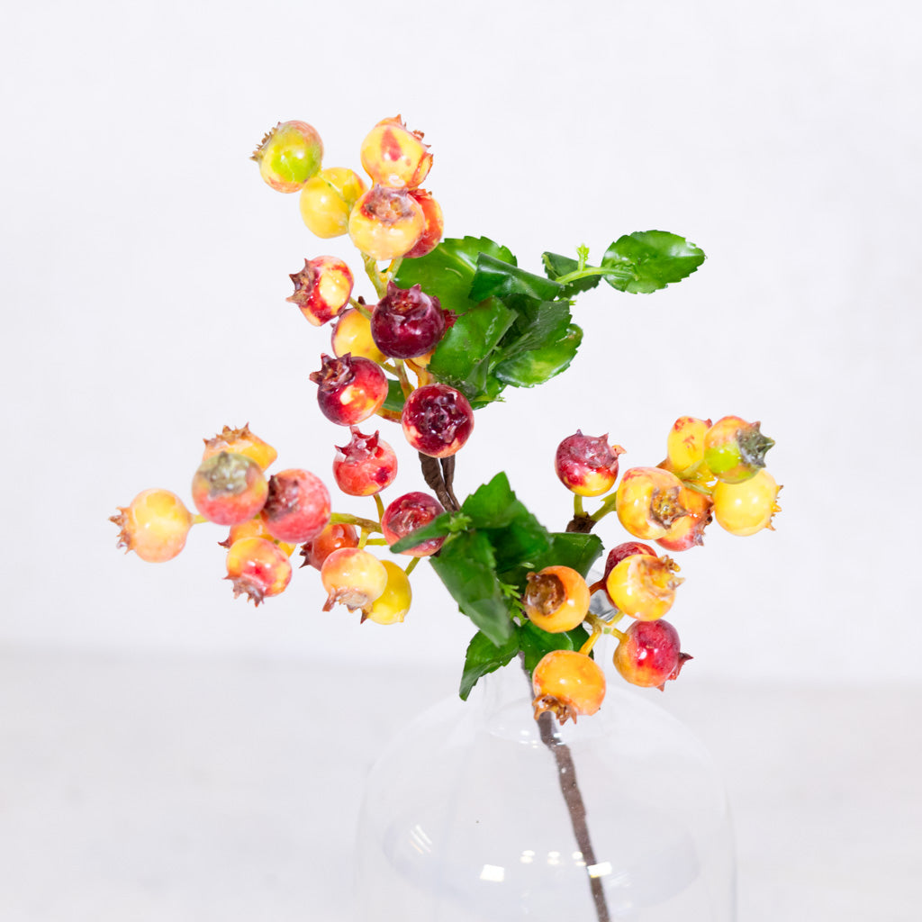 Pink Green Rosehip Berry Cluster