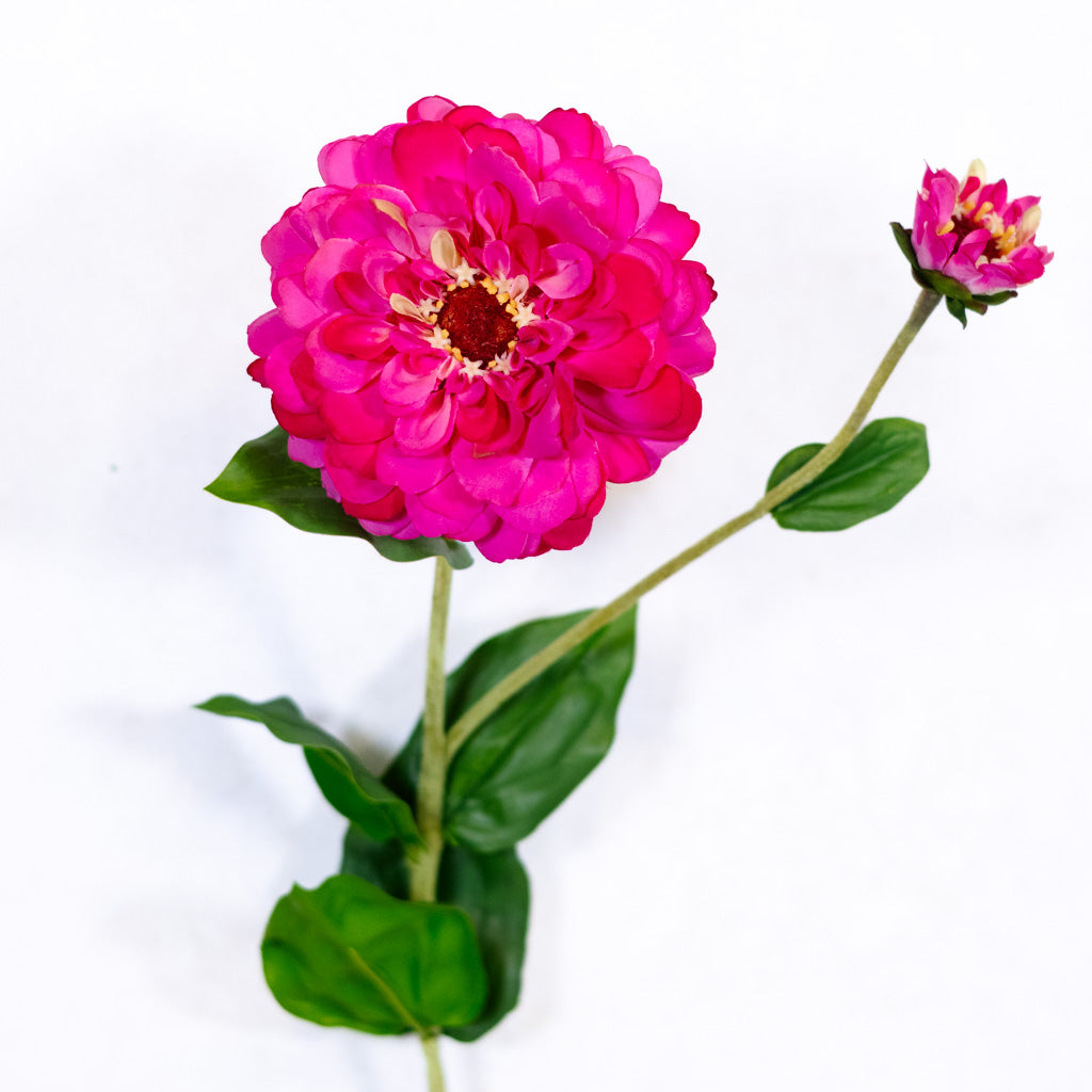 Hot Pink Zinnia Spray