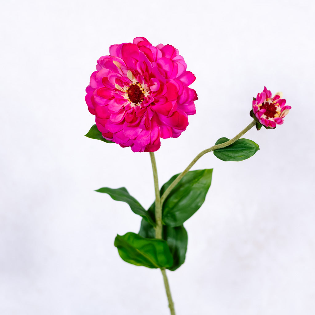 Hot Pink Zinnia Spray