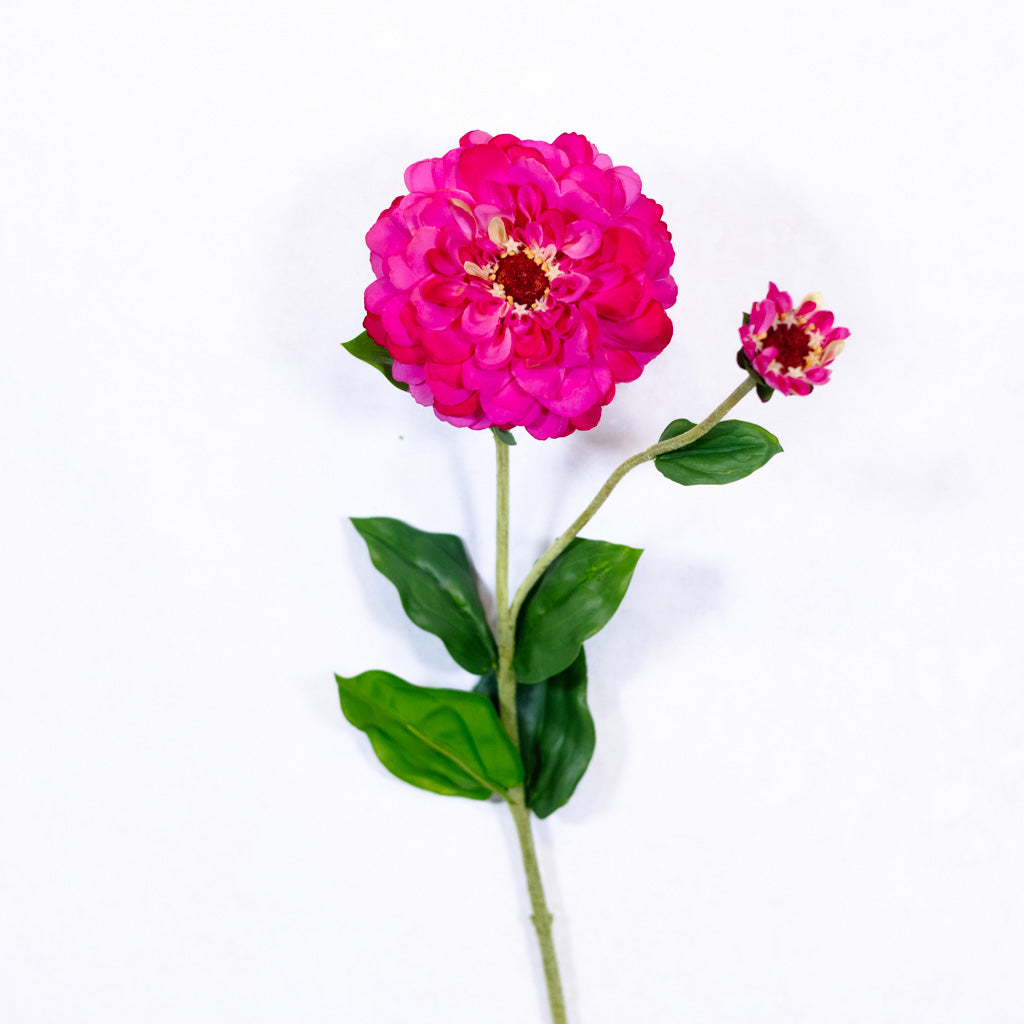 Hot Pink Zinnia Spray