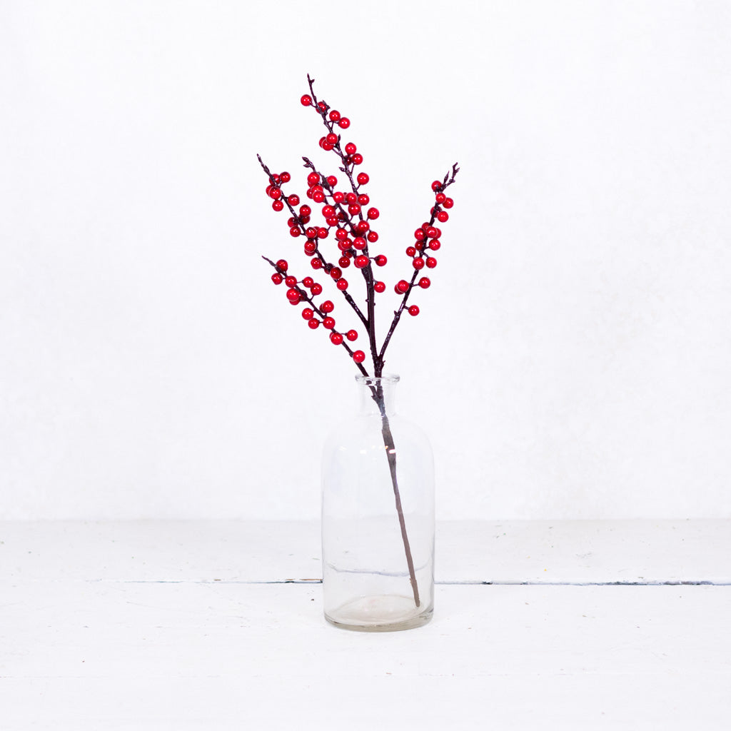Ilex Red Berry Pick