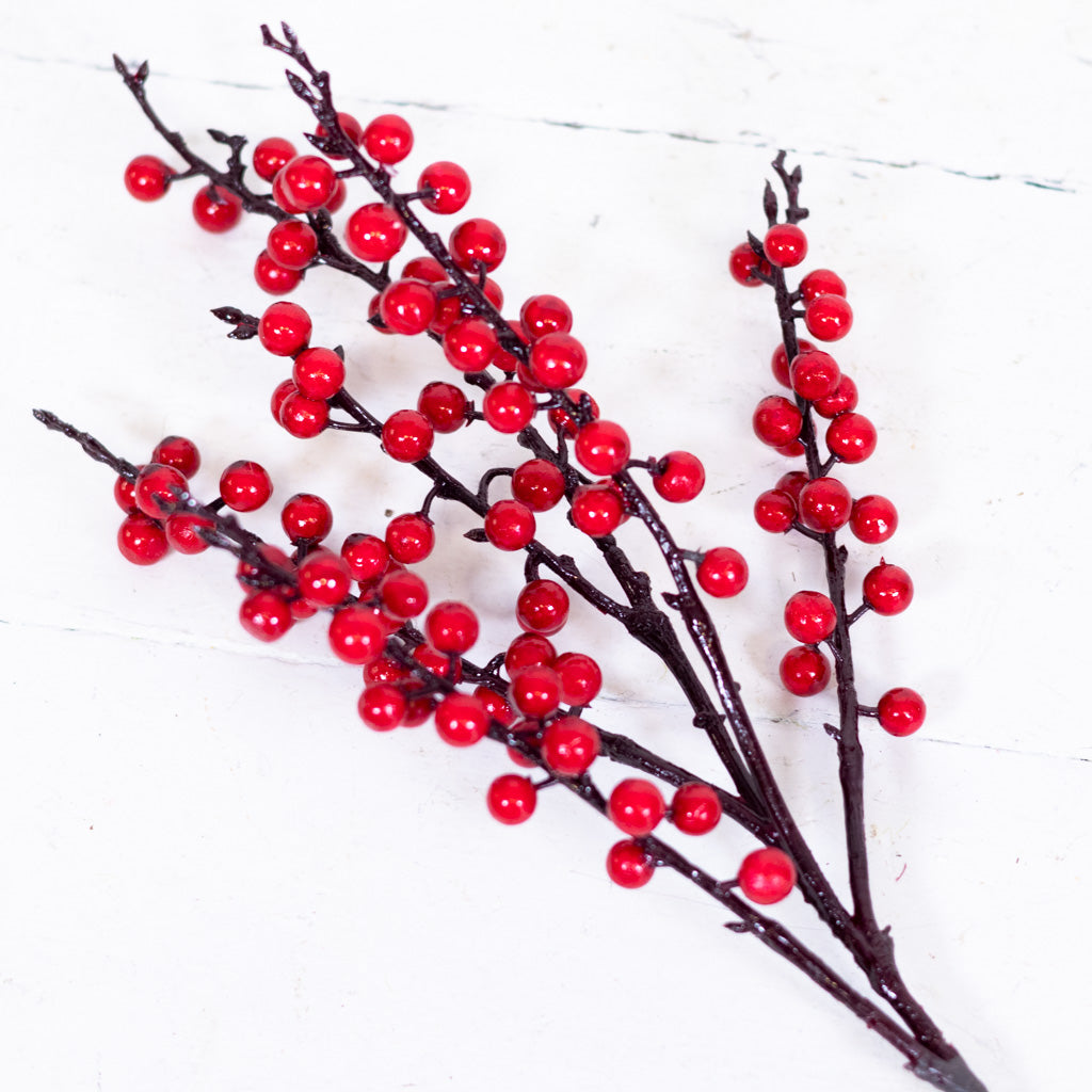 Ilex Red Berry Pick