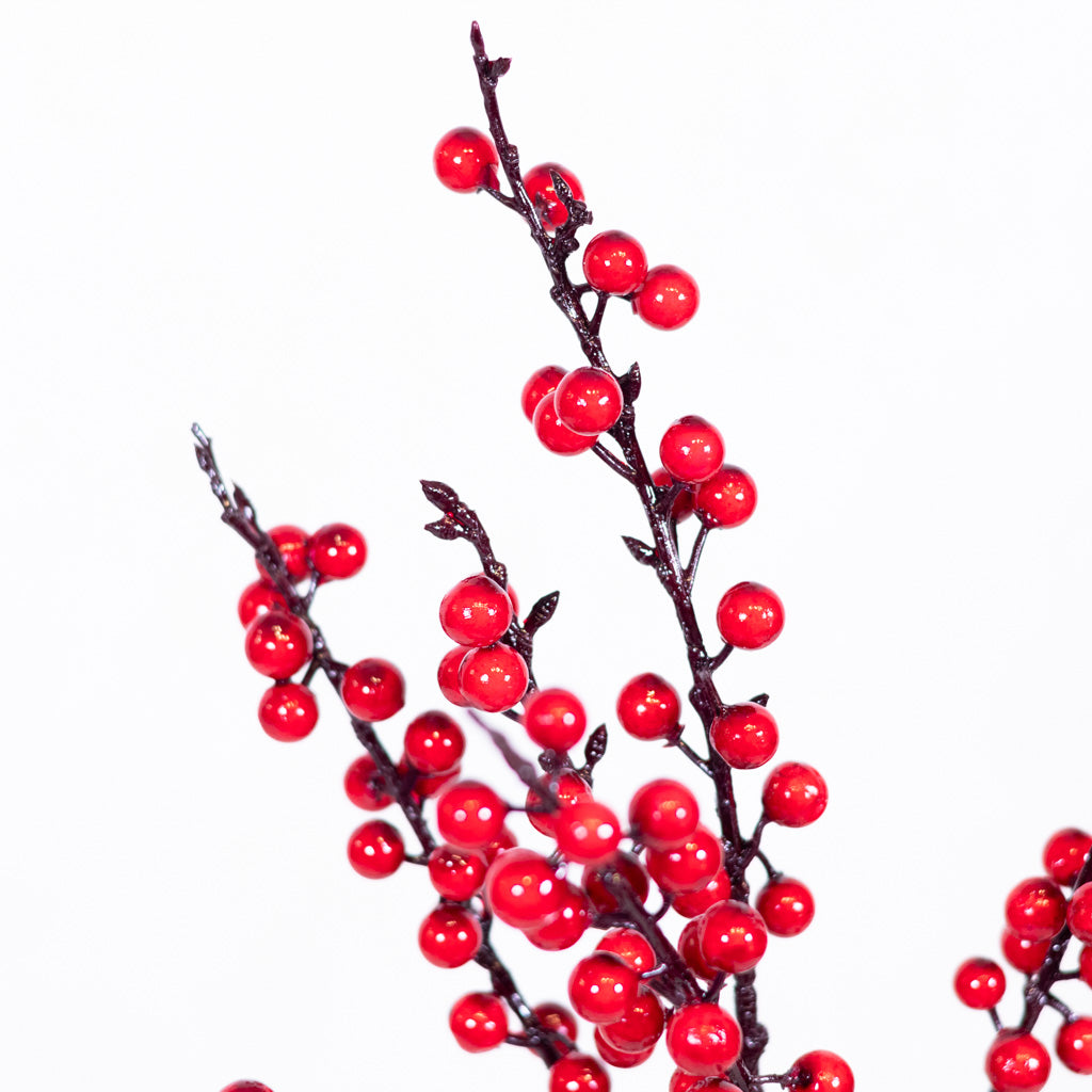 Ilex Red Berry Pick