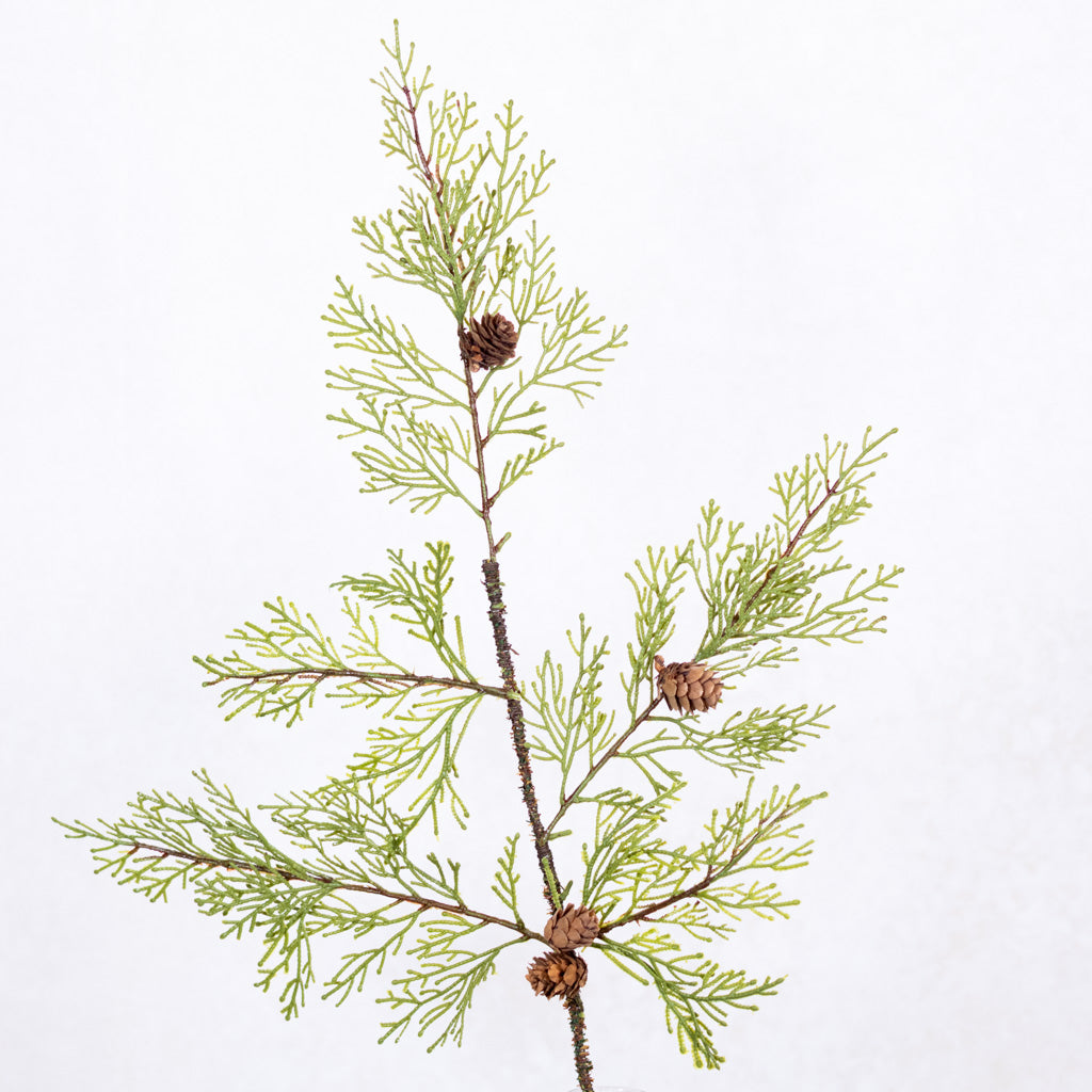 Soft Touch Cedar Spray