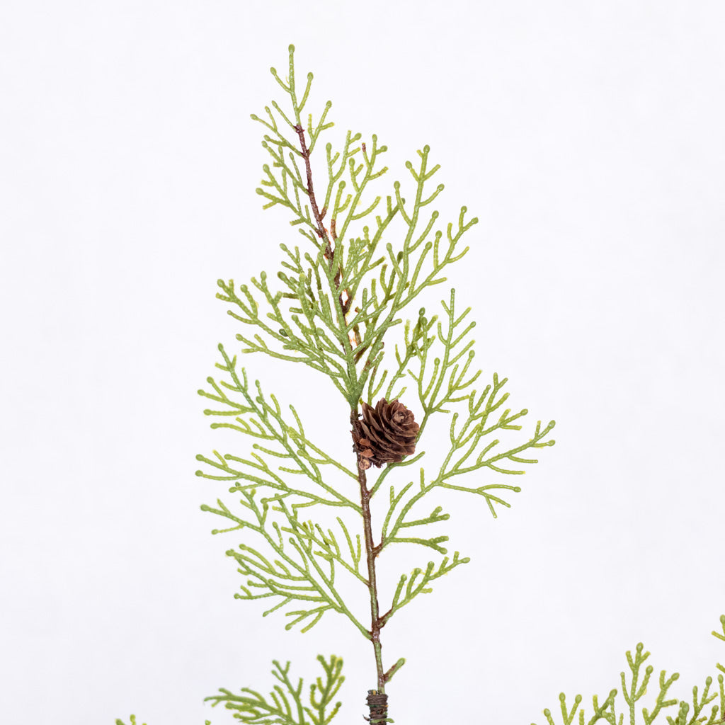 Soft Touch Cedar Spray