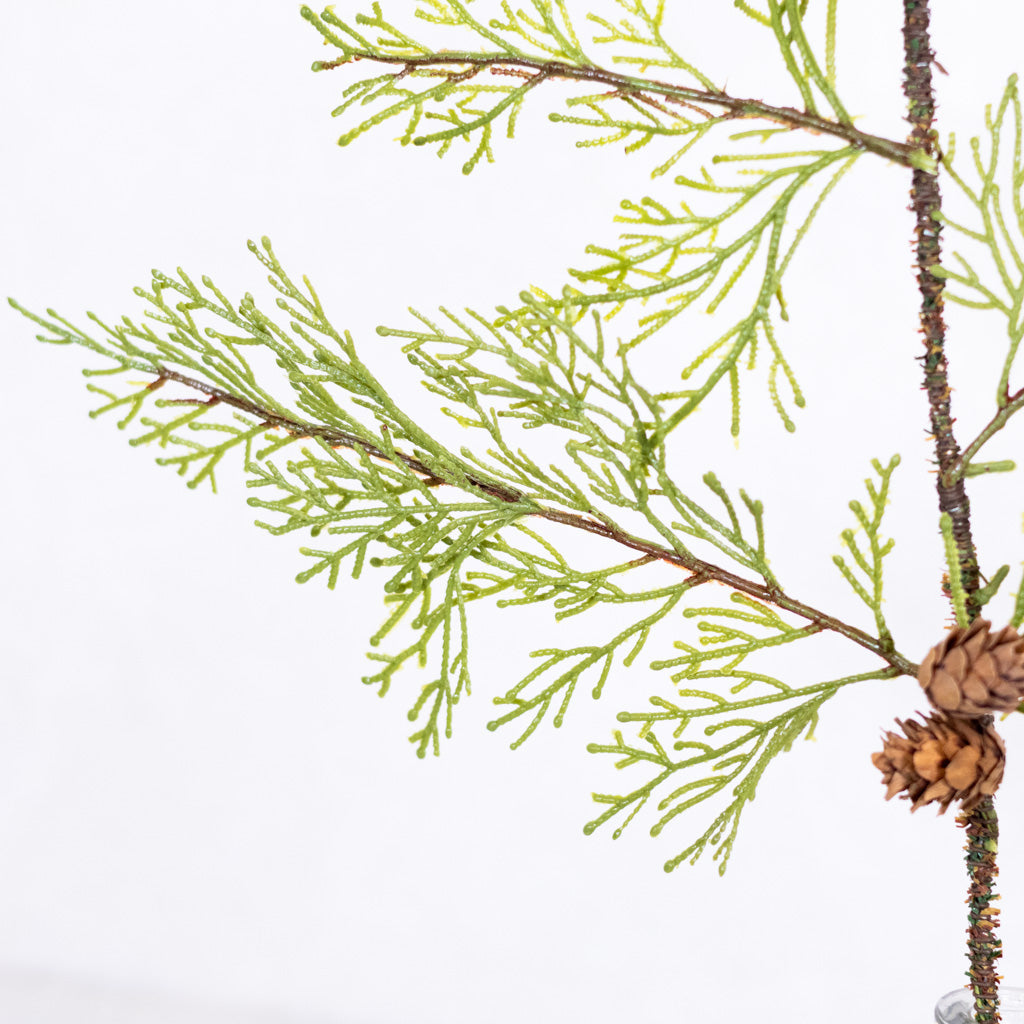 Soft Touch Cedar Spray