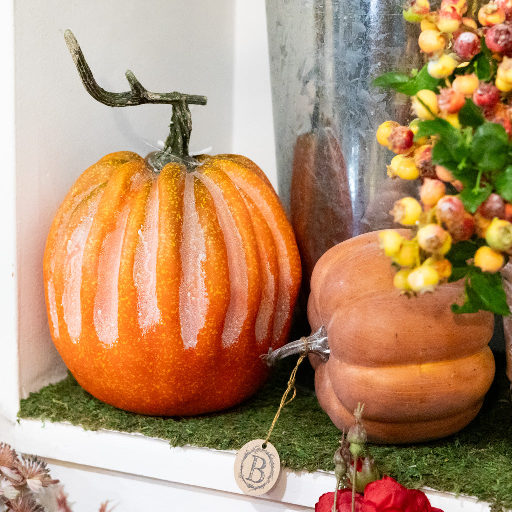 Hybrid Pumpkin with Stem