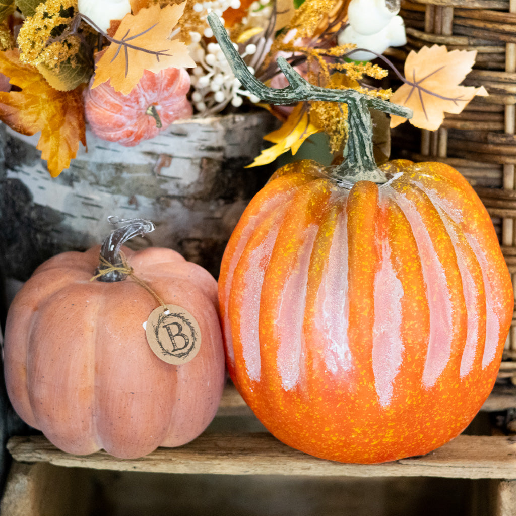 Hybrid Pumpkin with Stem