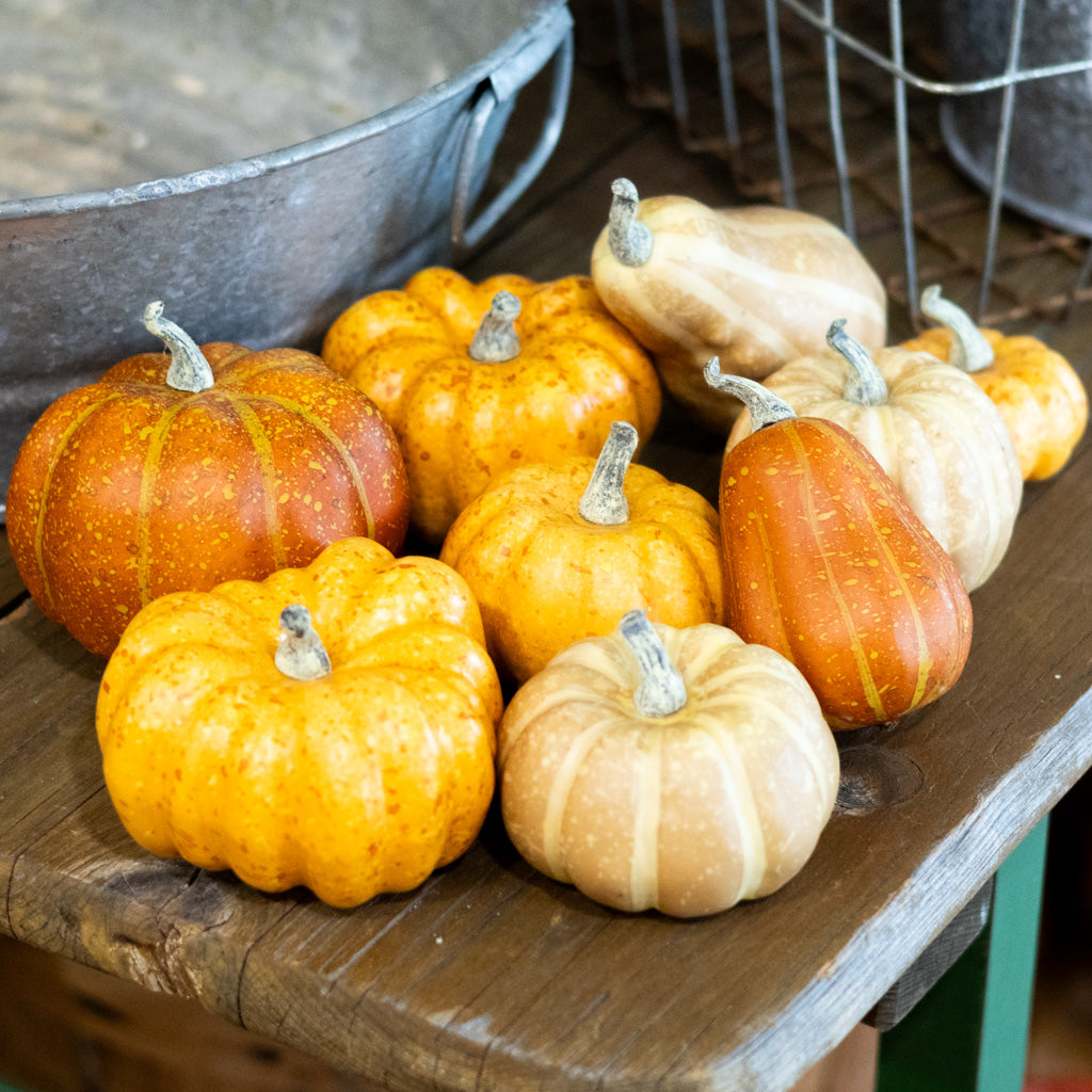 Box of Nine Pumpkin Mixed Assortment