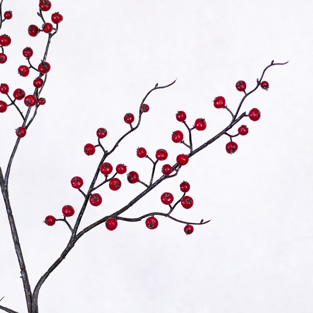 Wild Currant Red Berry Spray