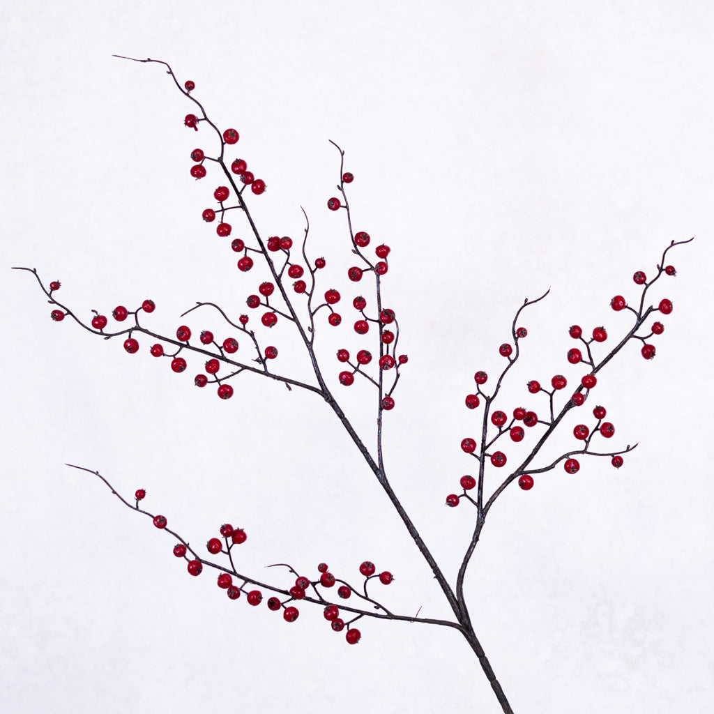 Wild Currant Red Berry Spray
