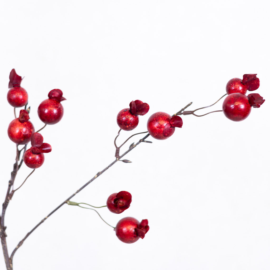 Pomegranate Red Spray