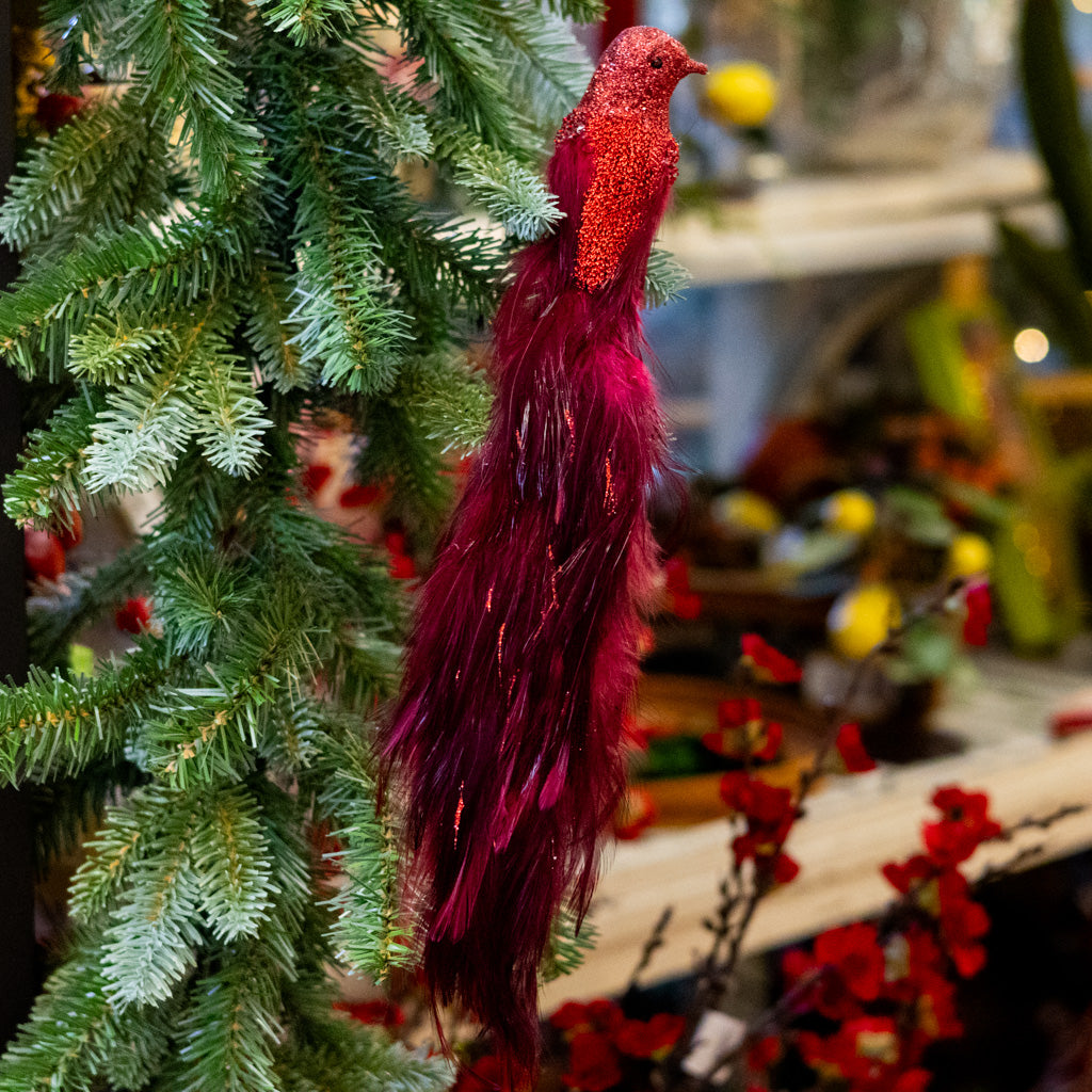 Wine Burgundy Feather Bird