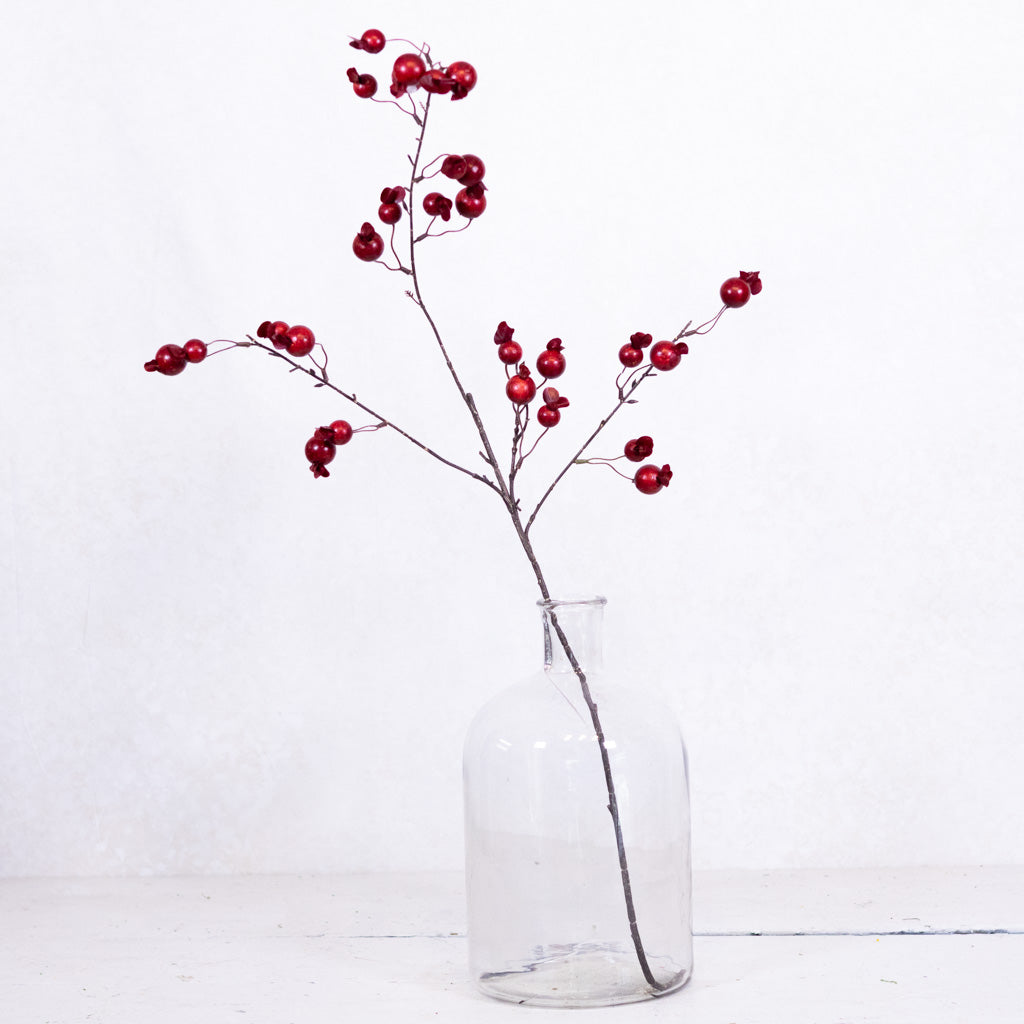 Pomegranate Red Spray