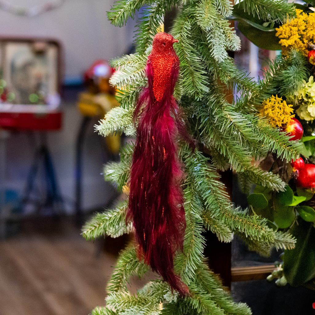 Wine Burgundy Feather Bird