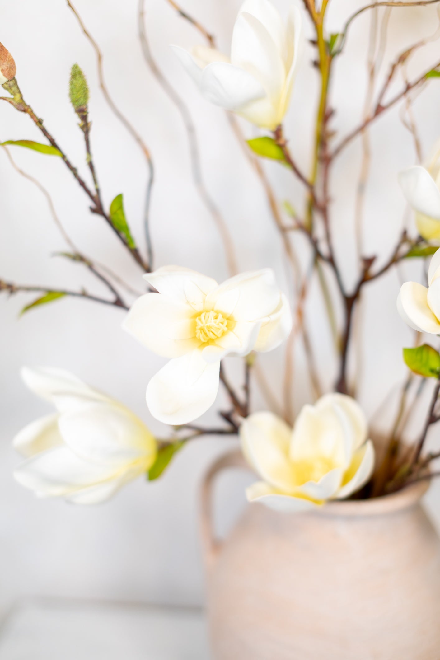 Saucer Magnolia Spray White