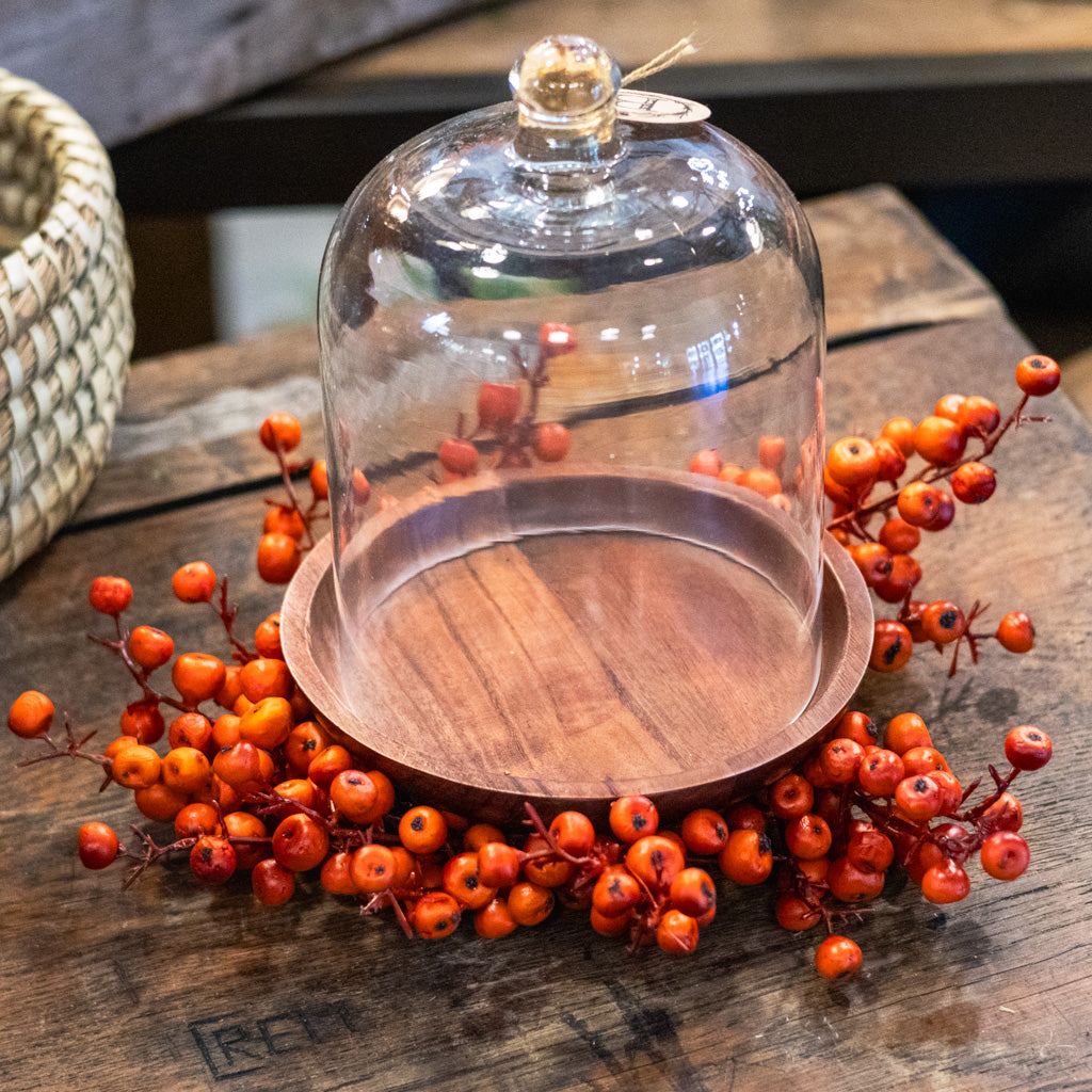 Set of Glass Cloche and Wooden Plate