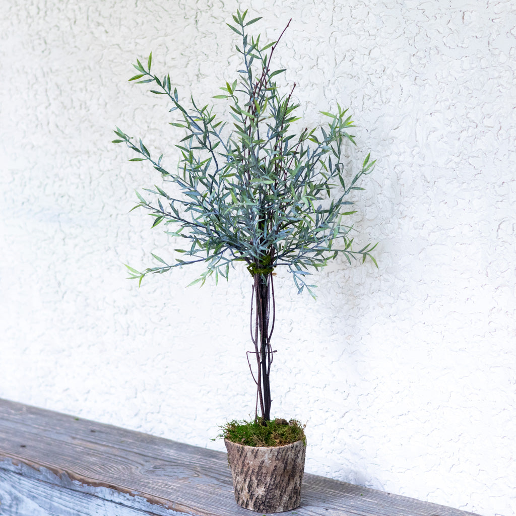 Needle Leaf Topiary