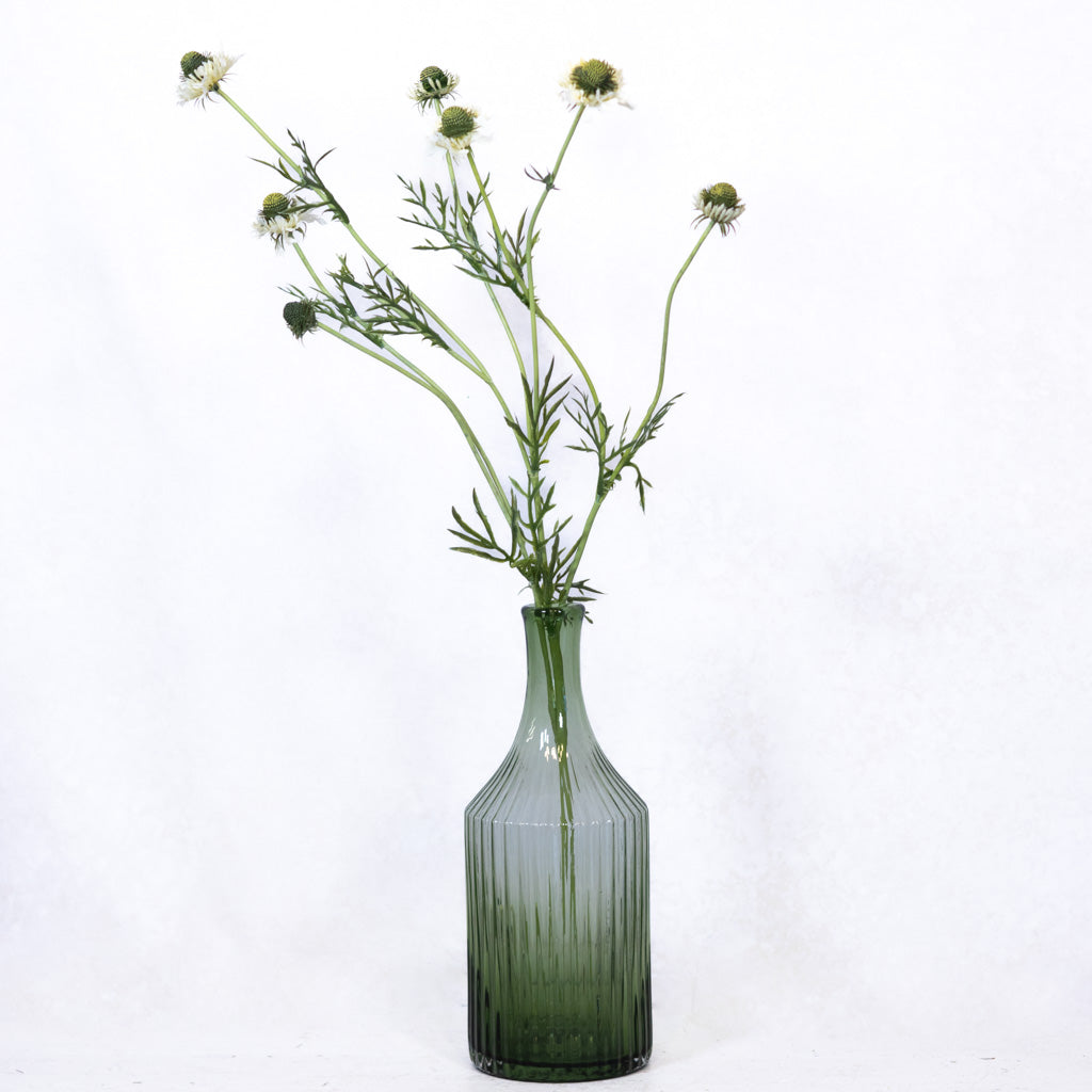 White Scabiosa Spray