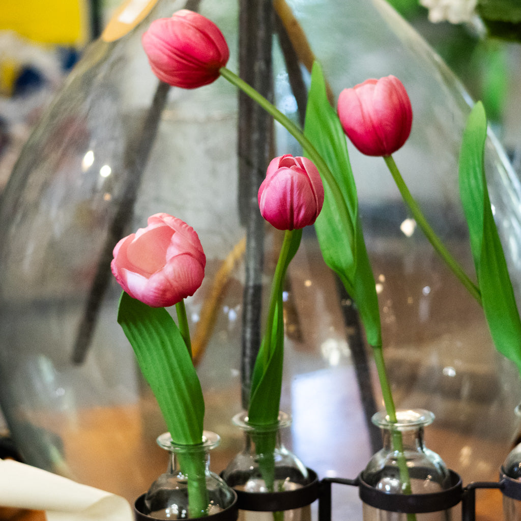 Hot Pink Tulip Bundle of Six