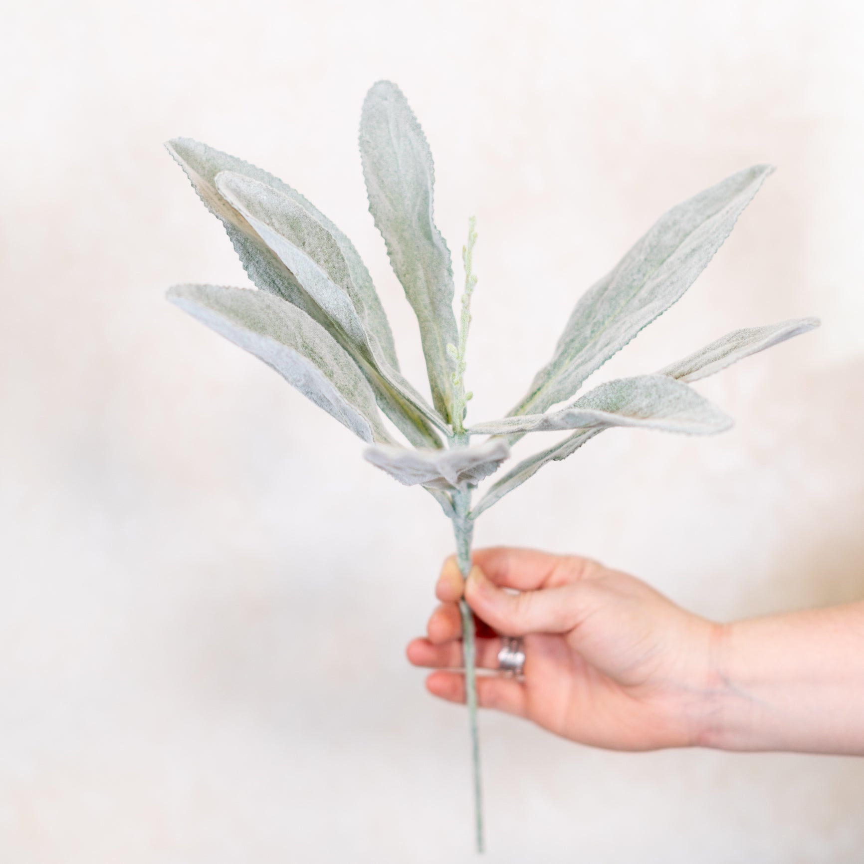 Flocked Lambs Ear Stem