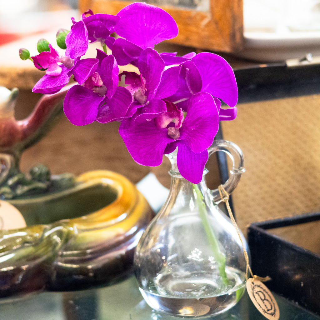 Dark Purple Phalaenopsis in Glass with Handle