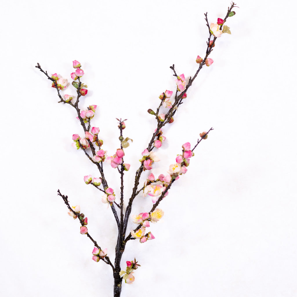 Pink Cherry Blossom Branch