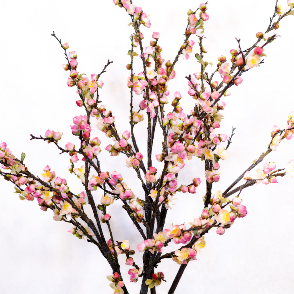 Pink Cherry Blossom Branch