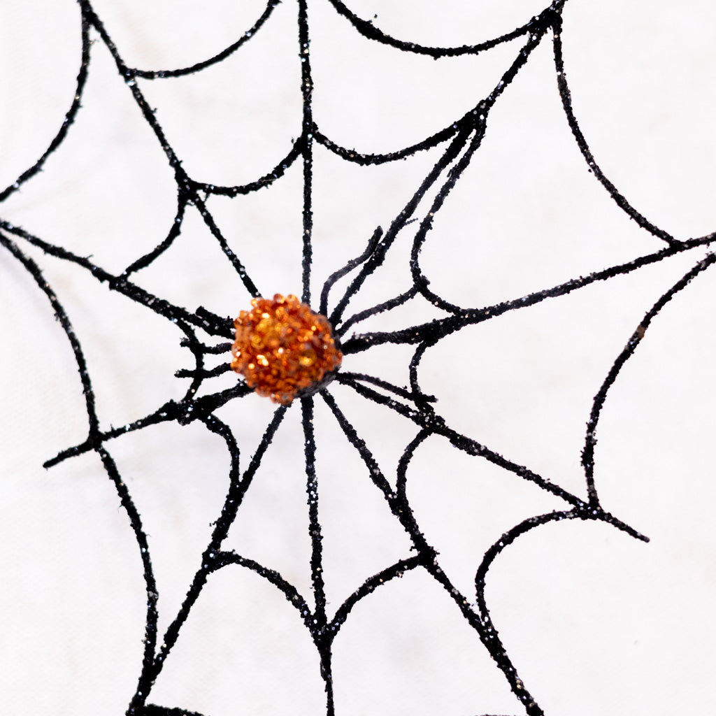 Small Spider Web