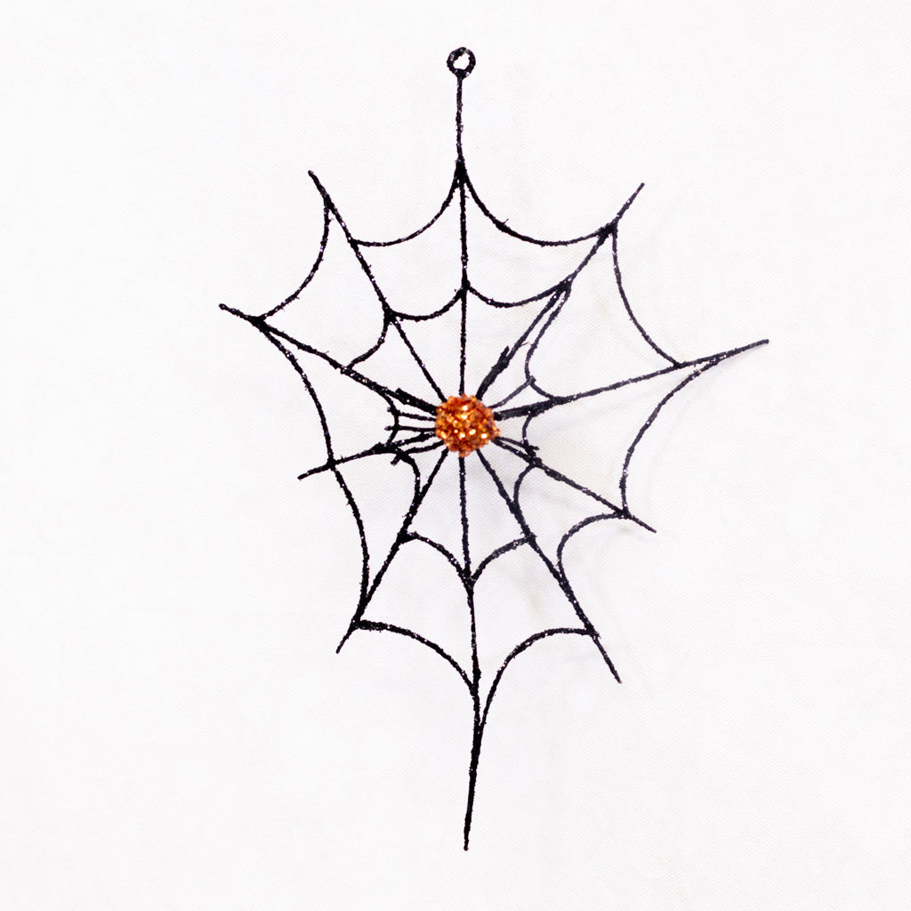 Small Spider Web