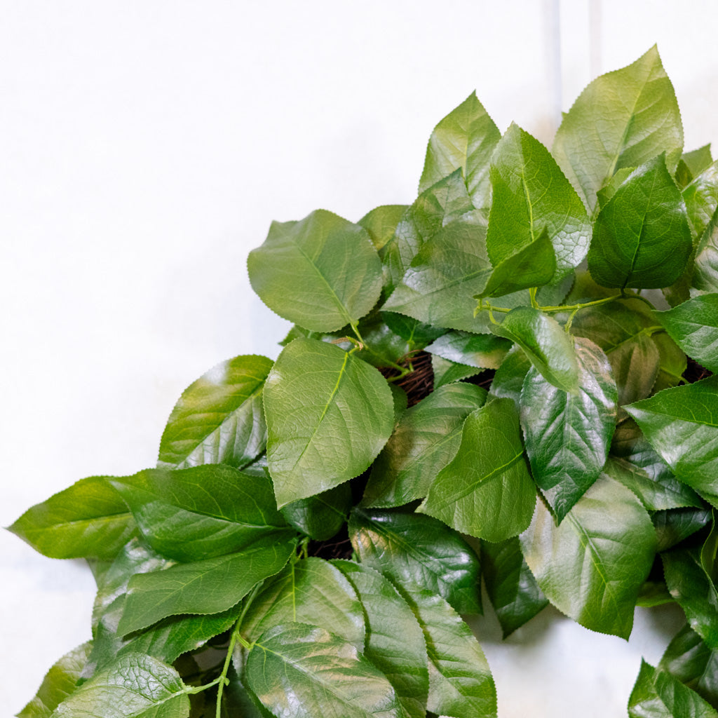 UV Salal Leaf Wreath