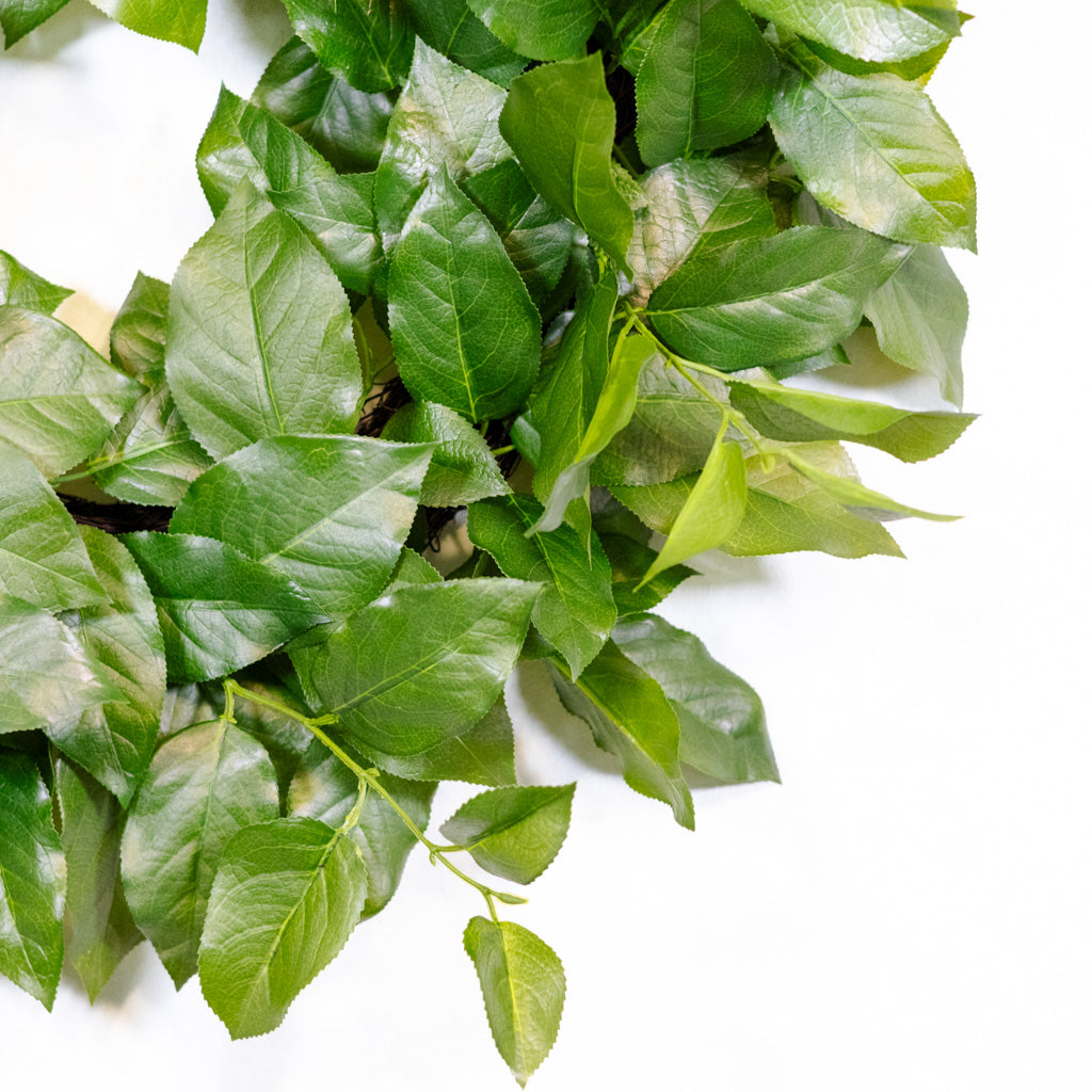 UV Salal Leaf Wreath