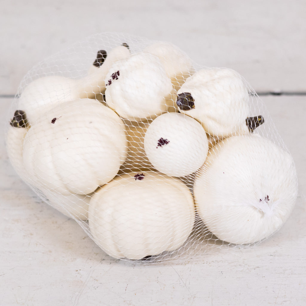 Mixed Small Pumpkins and Gourds Cream Bag of Twelve