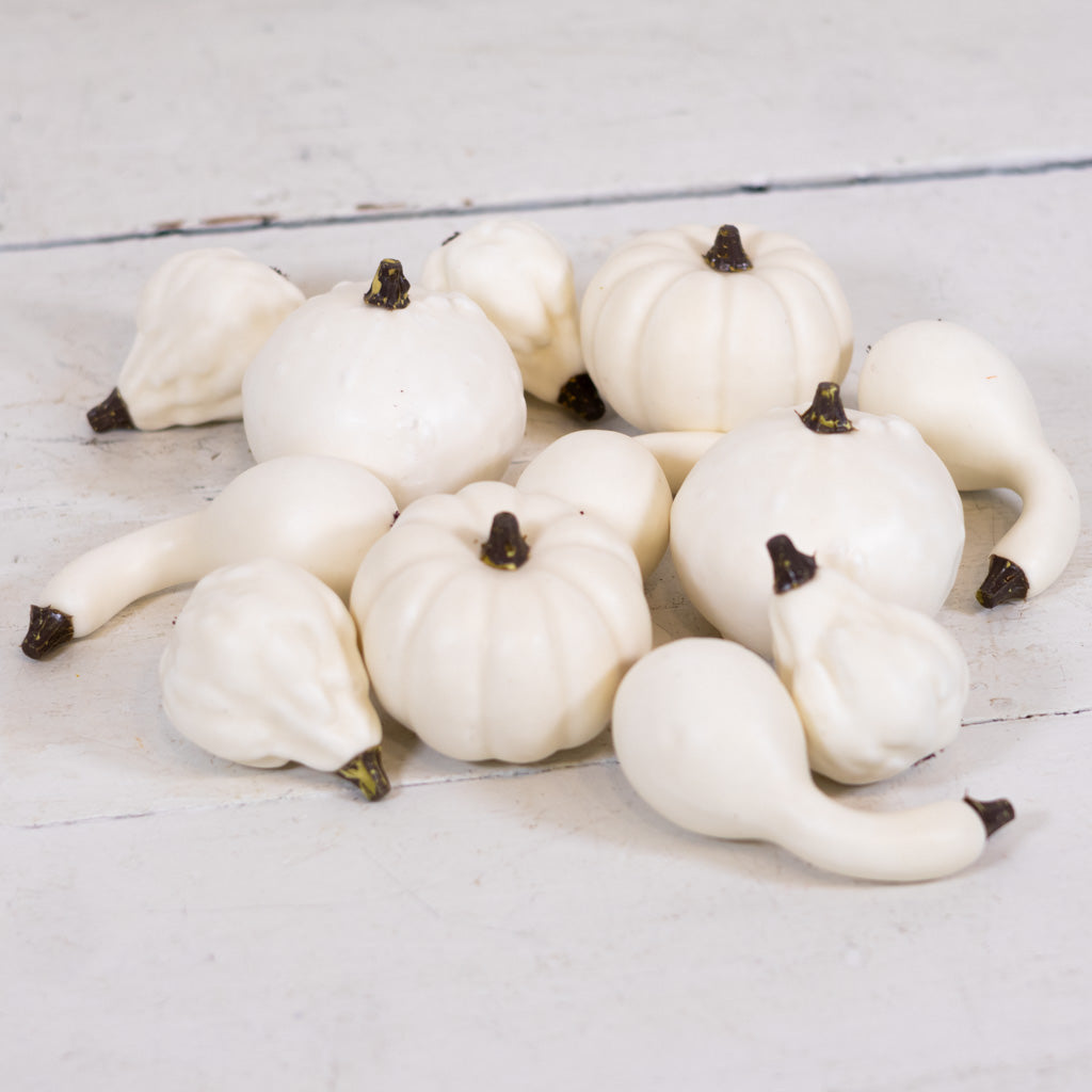 Mixed Small Pumpkins and Gourds Cream Bag of Twelve