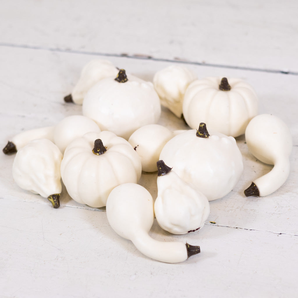 Mixed Small Pumpkins and Gourds Cream Bag of Twelve