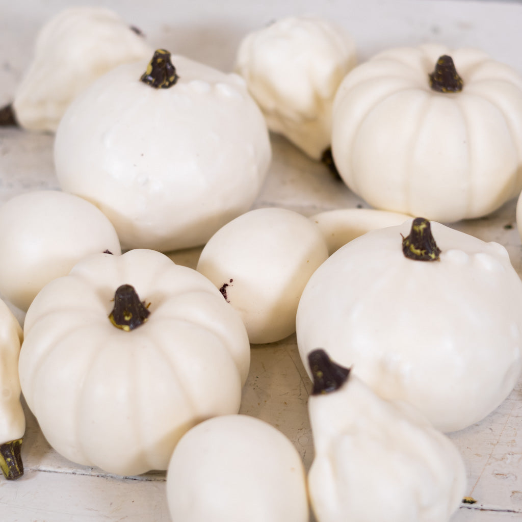 Mixed Small Pumpkins and Gourds Cream Bag of Twelve