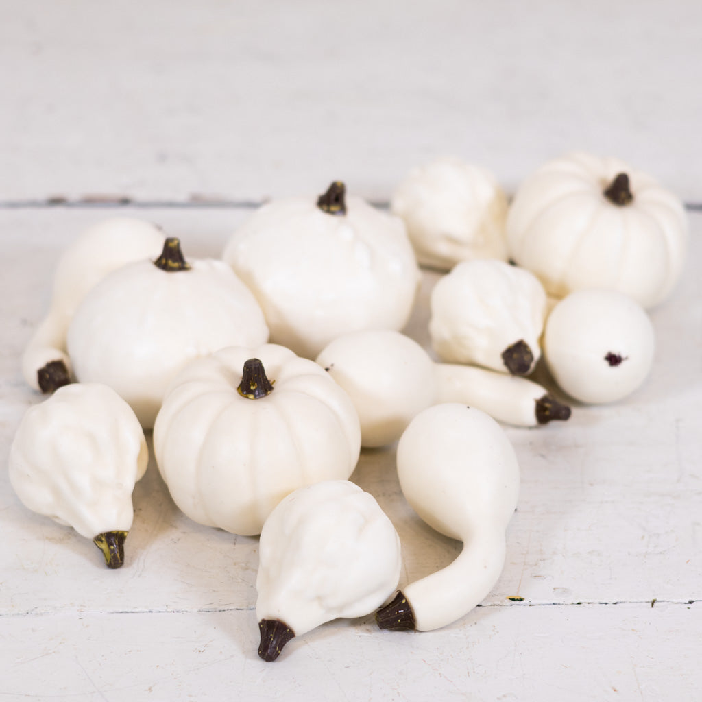 Mixed Small Pumpkins and Gourds Cream Bag of Twelve