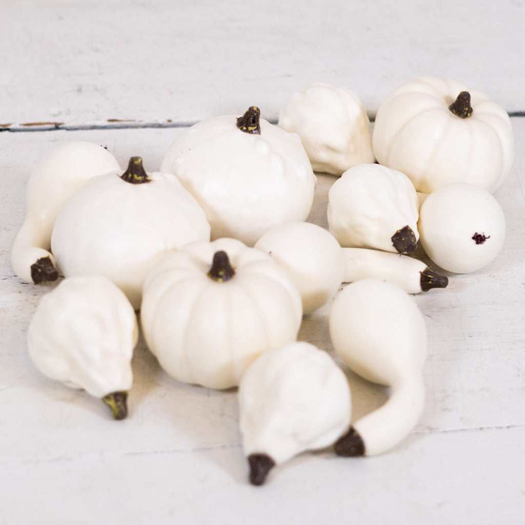 Mixed Small Pumpkins and Gourds Cream Bag of Twelve