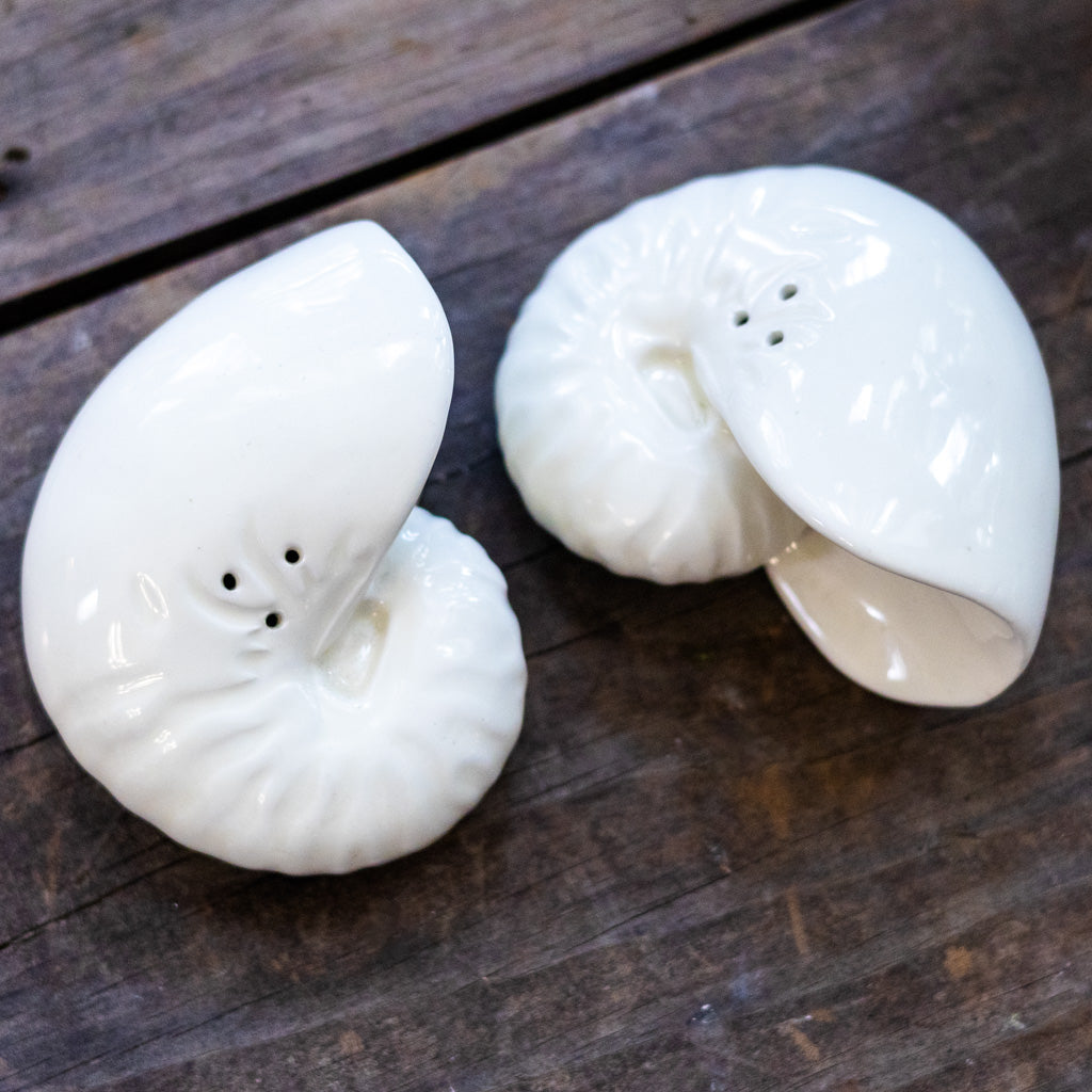 Vintage Shell Salt and Pepper Shakers