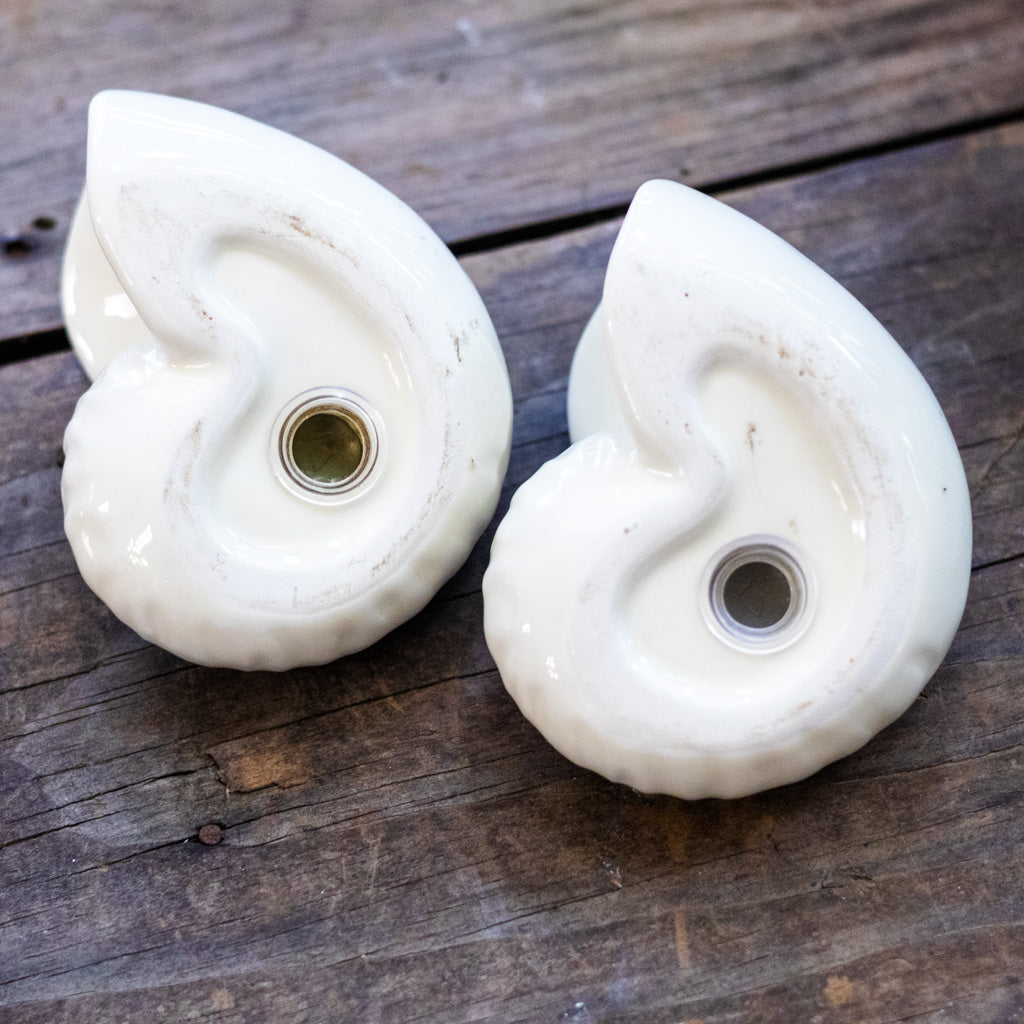 Vintage Shell Salt and Pepper Shakers