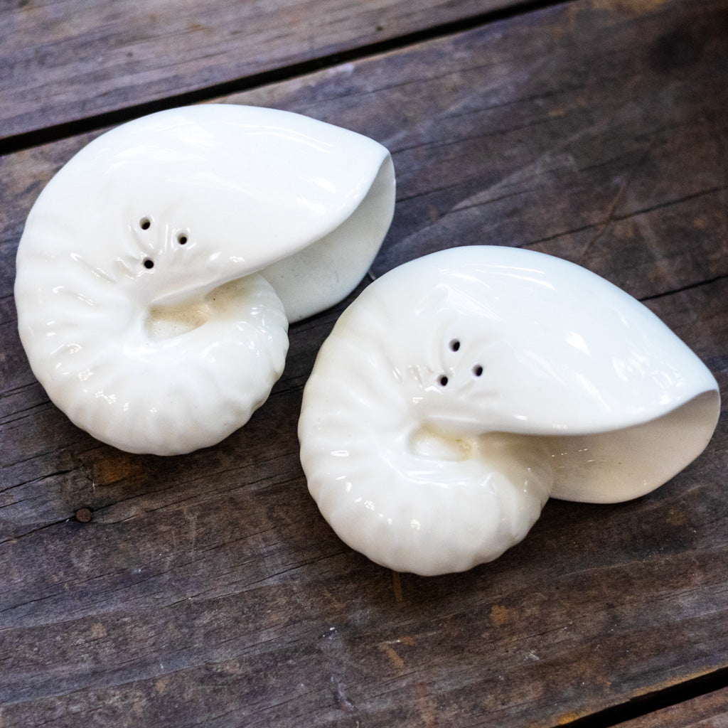 Vintage Shell Salt and Pepper Shakers
