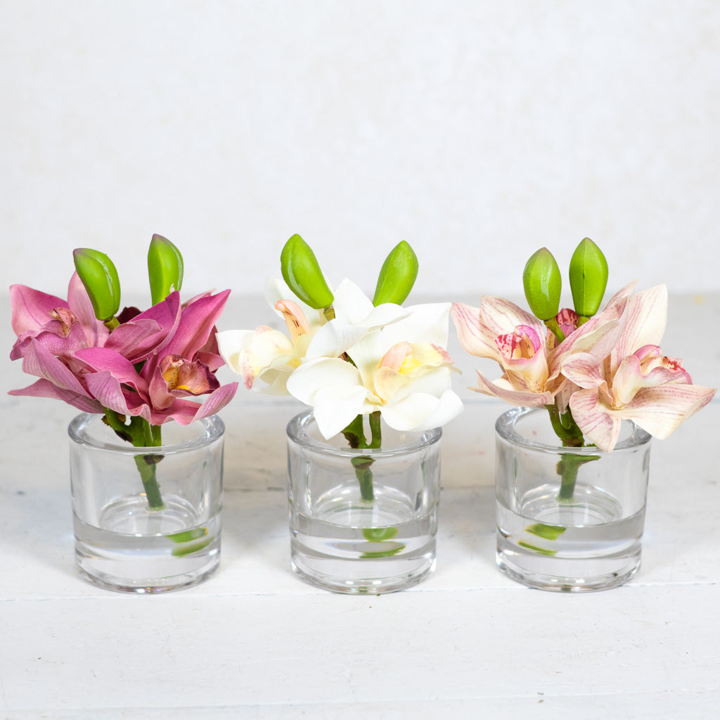 White Cymbidium in Illusion Glass Vase