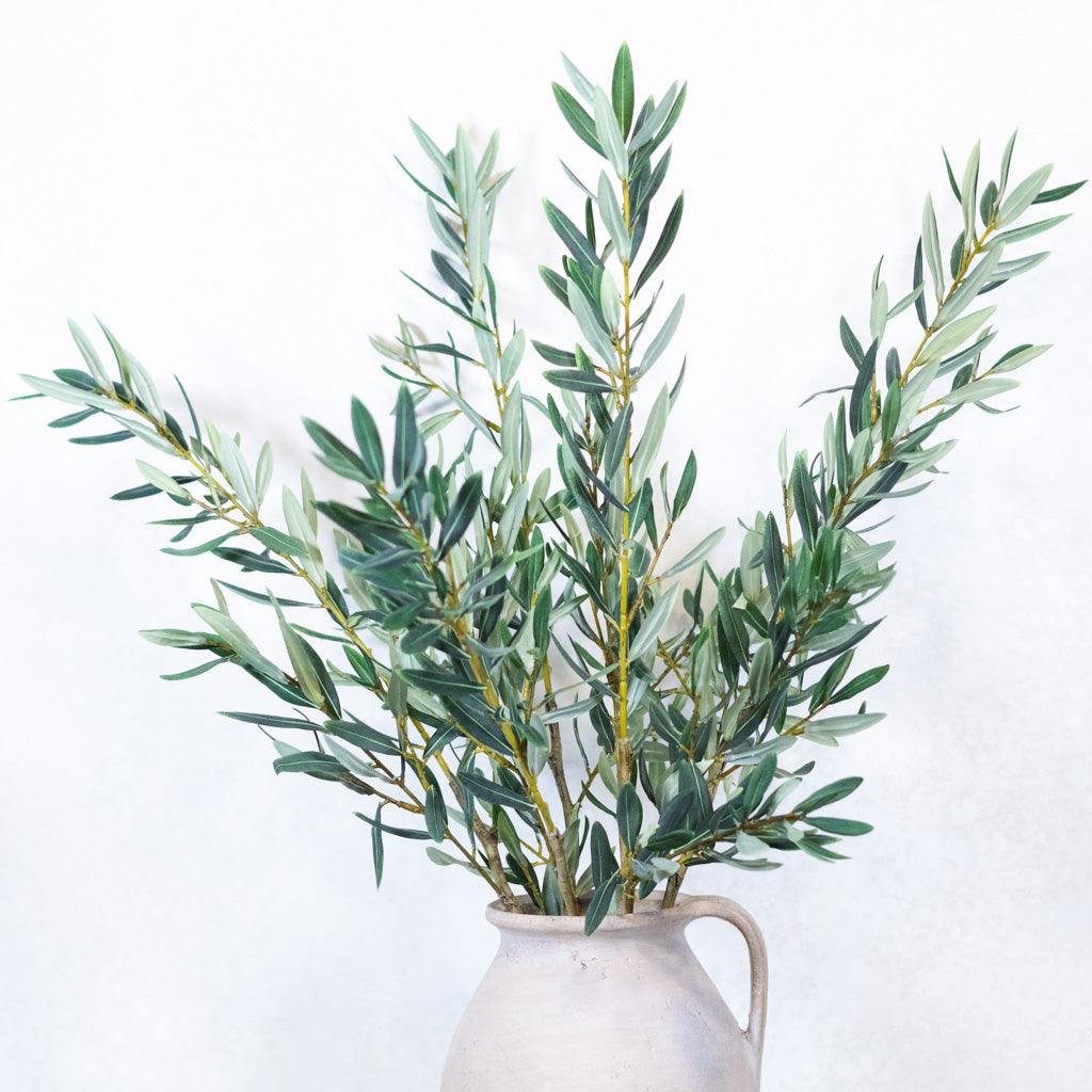 Olive Leaf Branch