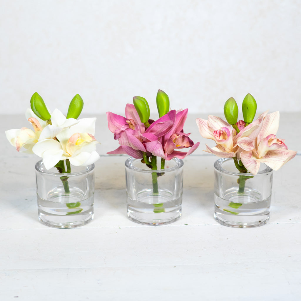 Rose Cymbidium in Illusion Glass Vase